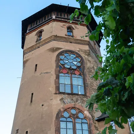 Naehe Rheinufer Oberwesel