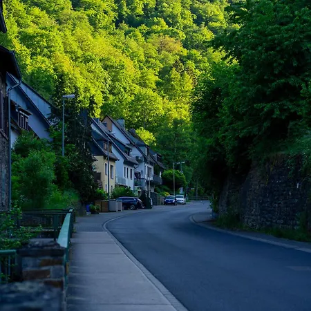 Naehe Rheinufer Apartamento *